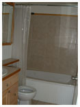 Bathroom remodel